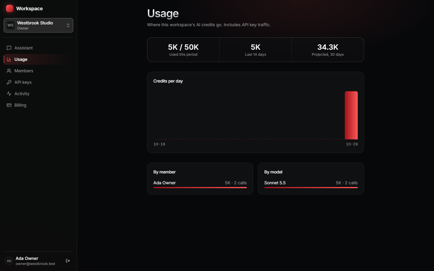 The usage page: credits per day, by member and by model.